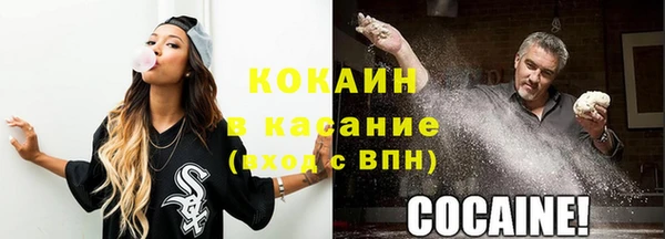 дживик Белокуриха
