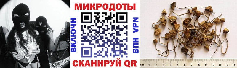 наркошоп  Волгореченск  Псилоцибиновые грибы Psilocybine cubensis 