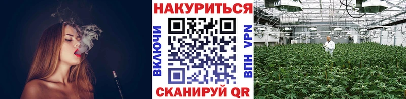 сколько стоит  мега сайт  Бошки марихуана AK-47  Волгореченск 
